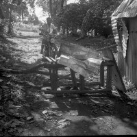 Images for this item