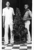 Images for this item