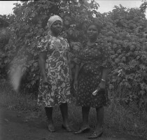 Images for this item