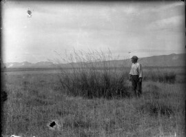 Images for this item