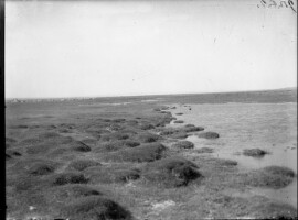 Images for this item