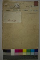 Images for this item