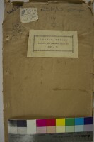 Images for this item