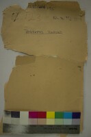 Images for this item