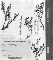 Images for this item