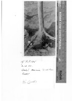 Images for this item