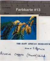 Images for this item