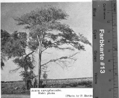 Images for this item