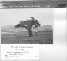 Images for this item