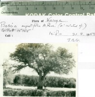 Images for this item