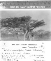 Images for this item