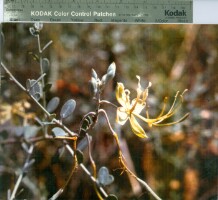 Images for this item