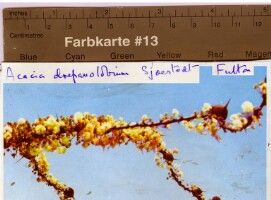 Images for this item