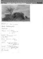 Images for this item