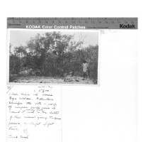 Images for this item