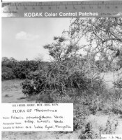 Images for this item